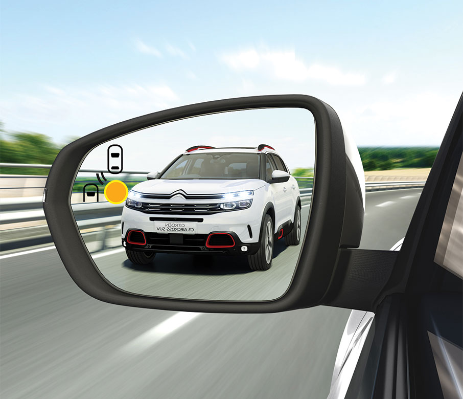 BLIND SPOT MONITORING SYSTEM