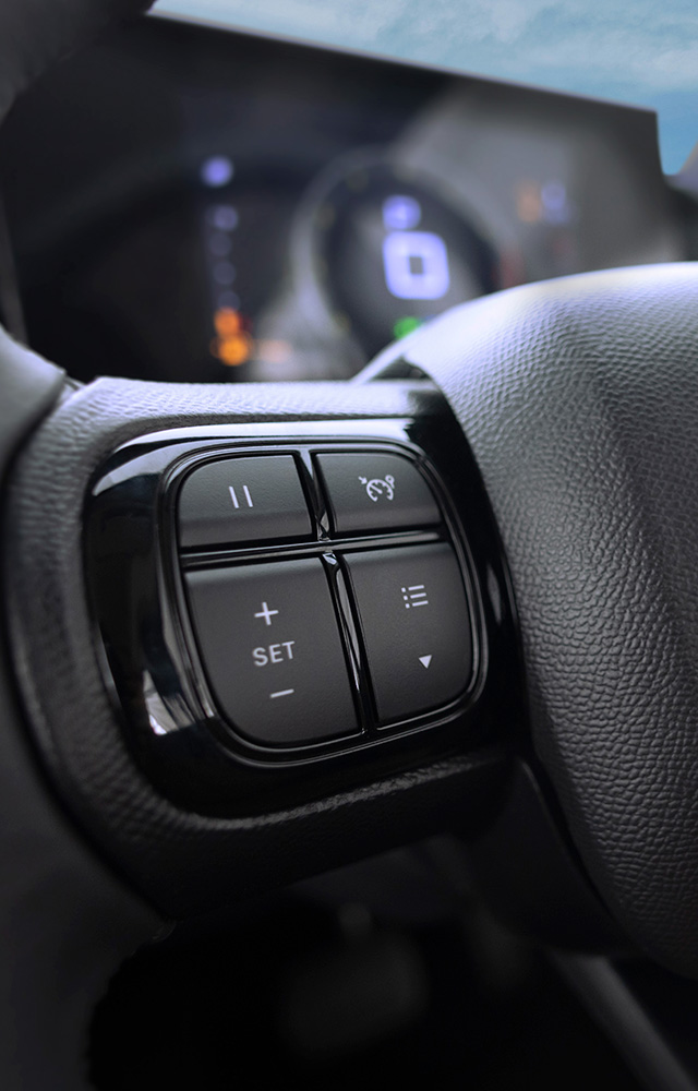 CRUISE CONTROL