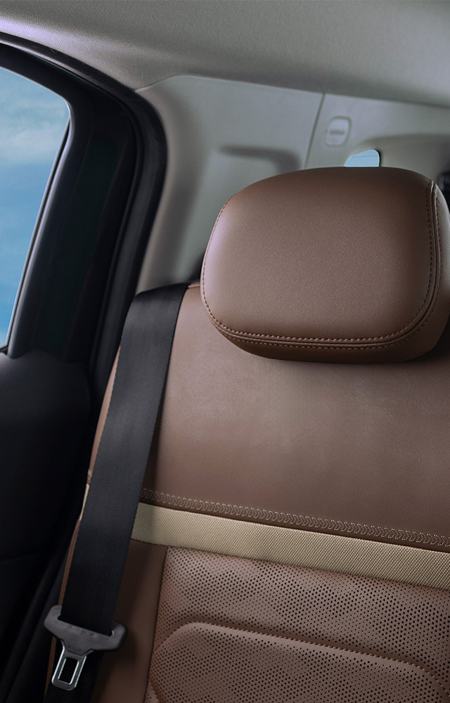 ADJUSTABLE HEADRESTS