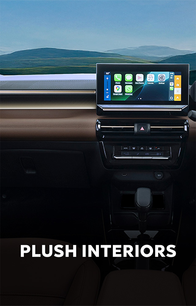 PLUSH INTERIORS